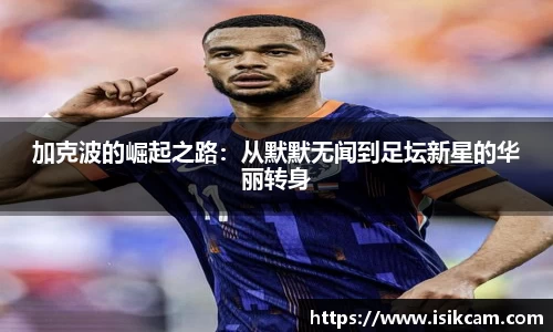 mk体育官网入口